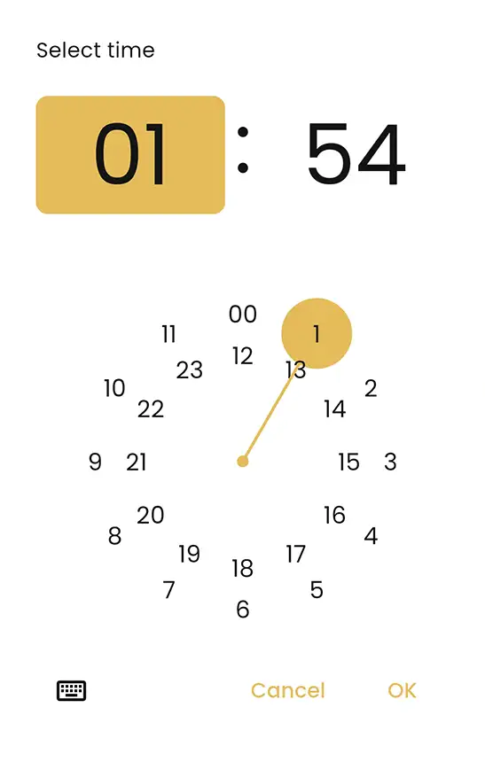 Setting the time in manual mode