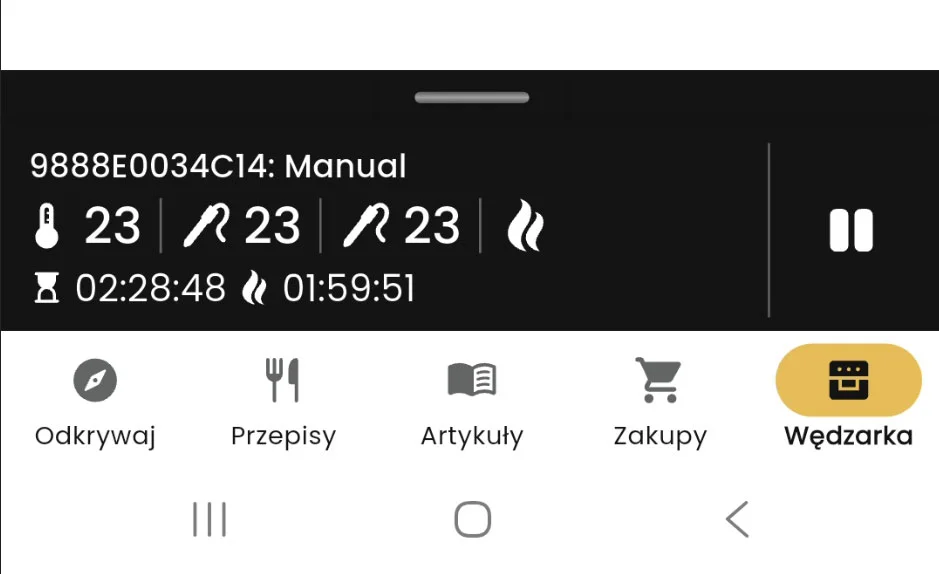 Podgląd aktywnej wędzarni podczas pracy